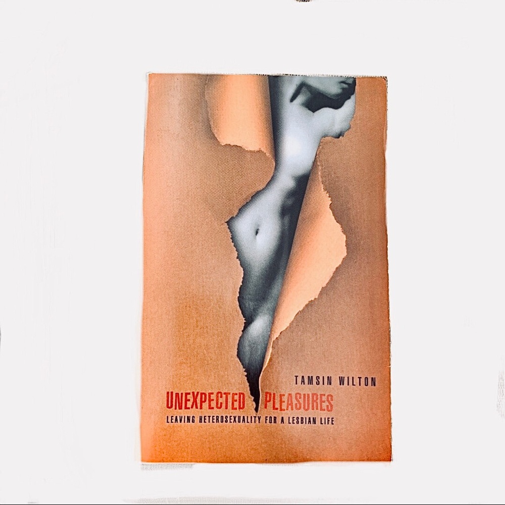 📕$20or2/$30 Unexpected Pleasures By Tamsin Wilton